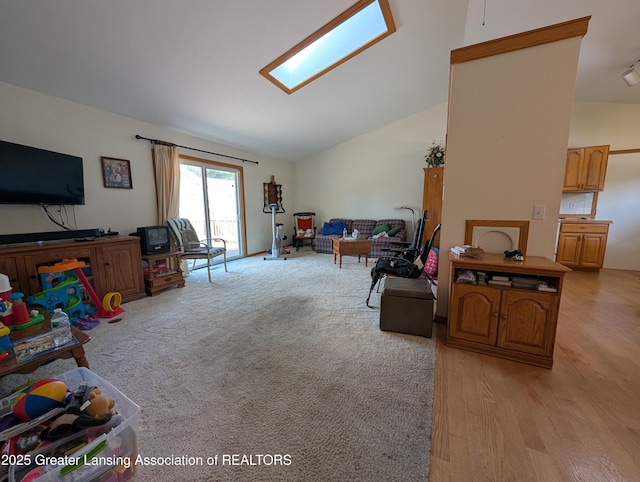 100 W Madison St, Dewitt, MI 48820 - photo 9