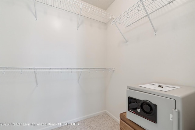 14799 Shamrock Trl, Lansing, MI 48906 - photo 15