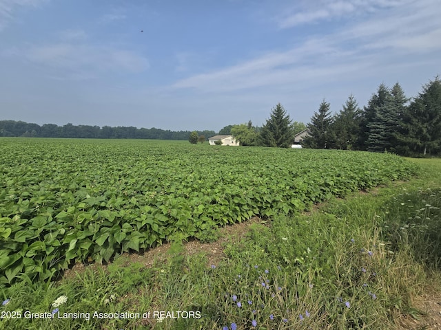 1 Frost Rd, Portland, MI 48875 - photo 2