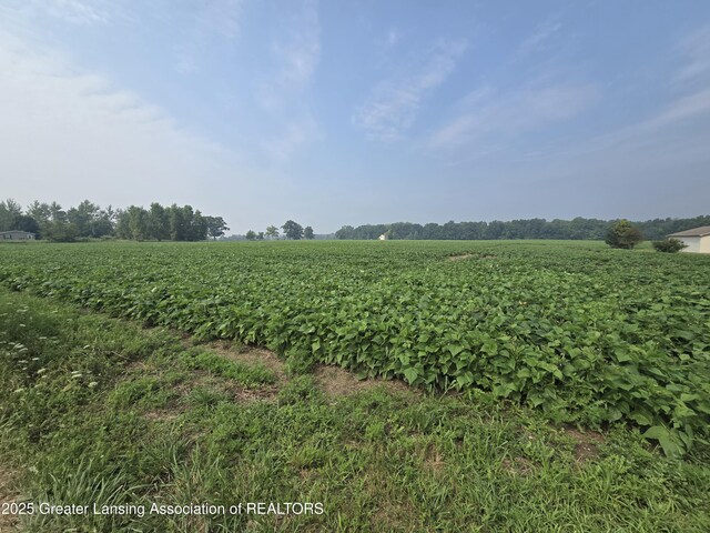1 Frost Rd, Portland, MI 48875 - photo 7