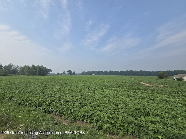1 Frost Rd, Portland, MI 48875 - photo 8