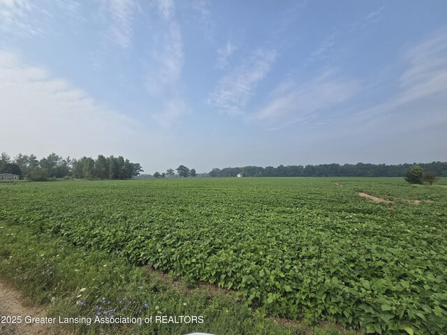 1 Frost Rd, Portland, MI 48875 - photo 9