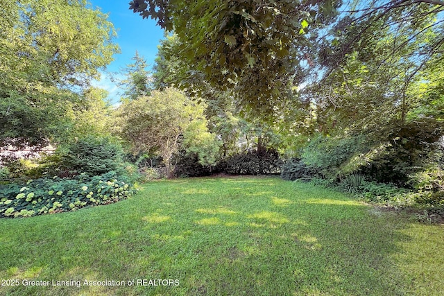 4295 Bond Ave, Holt, MI 48842 - photo 14