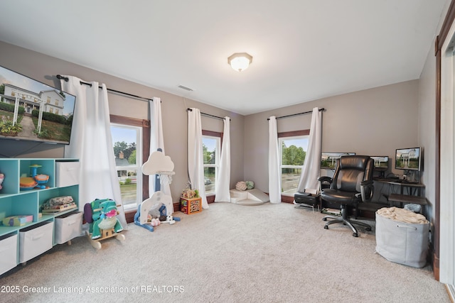 607 E Bridge St, Portland, MI 48875 - photo 24