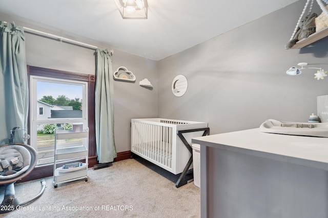 607 E Bridge St, Portland, MI 48875 - photo 26
