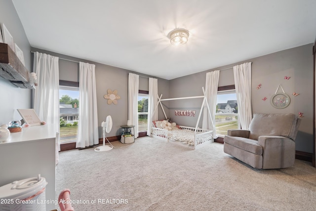 607 E Bridge St, Portland, MI 48875 - photo 28