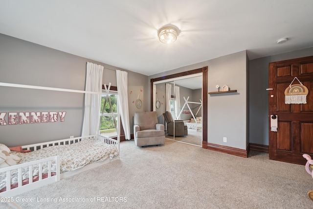 607 E Bridge St, Portland, MI 48875 - photo 29