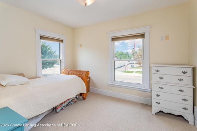 230 N State St, Alma, MI 48801 - photo 21