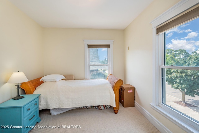 230 N State St, Alma, MI 48801 - photo 20