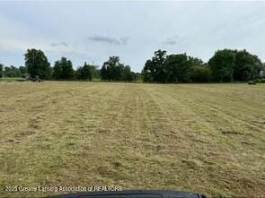 PARCEL2 Hite Rd, Bancroft, MI 48414 - photo 4