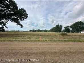 PARCEL2 Hite Rd, Bancroft, MI 48414 - photo 2