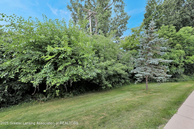 1333 Coolidge Rd, East Lansing, MI 48823 - photo 26