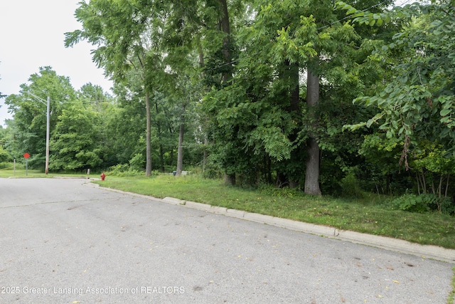 V/L Raymond Dr, Lansing, MI 48906 - photo 4