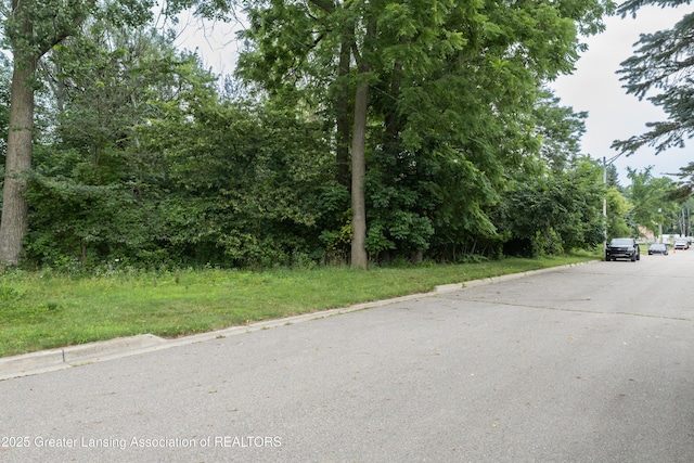 V/L Raymond Dr, Lansing, MI 48906 - photo 5