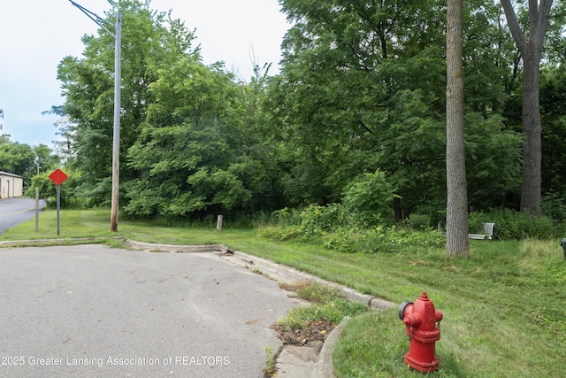 V/L Raymond Dr, Lansing, MI 48906 - photo 7