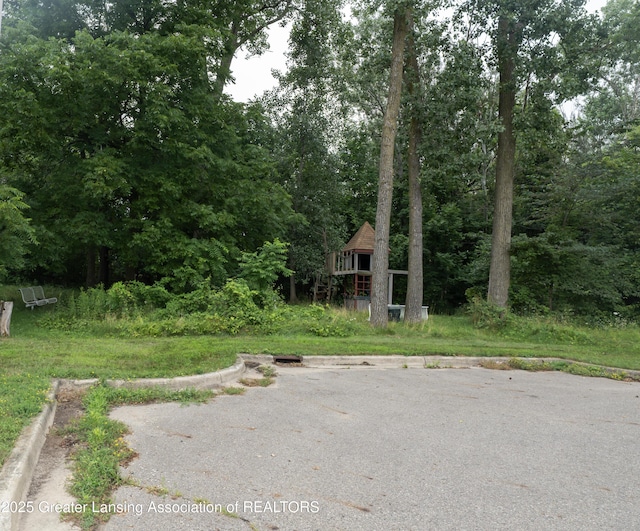 V/L Raymond Dr, Lansing, MI 48906 - photo 8