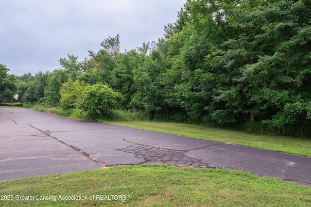 V/L Raymond Dr, Lansing, MI 48906 - photo 10
