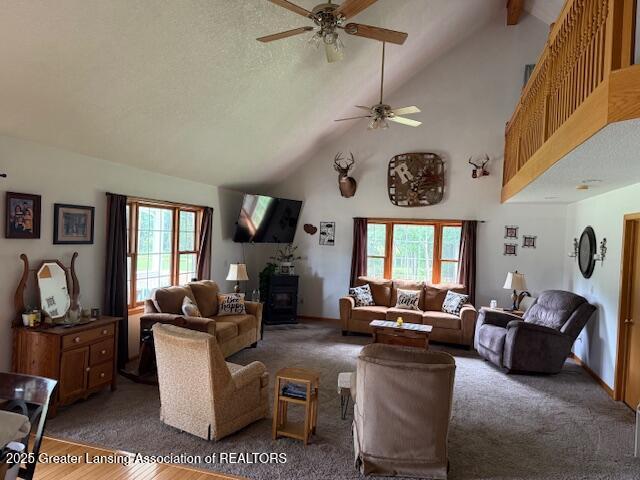 9933 N Douglas Rd, Vestaburg, MI 48891 - photo 5