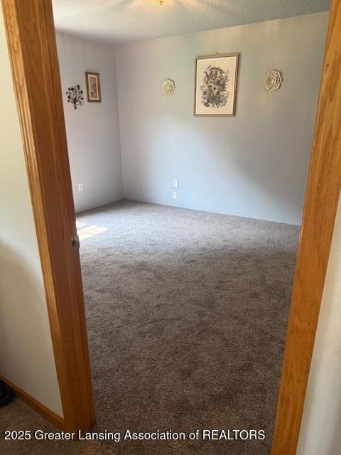 9933 N Douglas Rd, Vestaburg, MI 48891 - photo 15