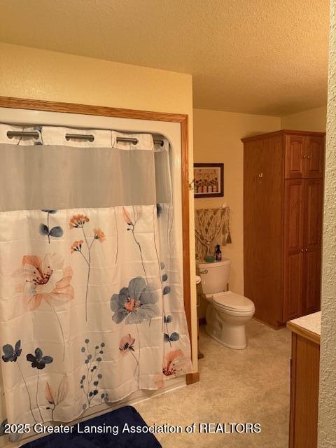 9933 N Douglas Rd, Vestaburg, MI 48891 - photo 14