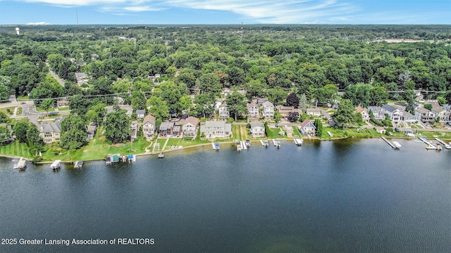 6248 W Reynolds Rd, Haslett, MI 48840 - photo 28