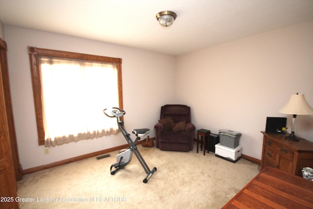 11723 W Andre Dr, Grand Ledge, MI 48837 - photo 20