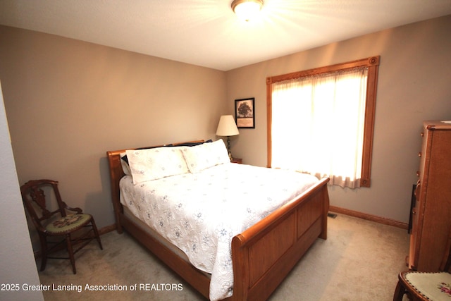 11723 W Andre Dr, Grand Ledge, MI 48837 - photo 19
