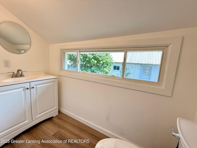 506 W Higham St, Saint Johns, MI 48879 - photo 25