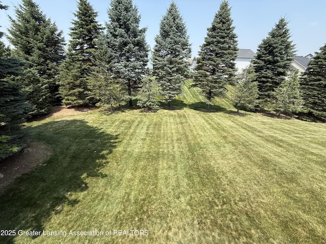 12869 Warm Creek Dr, Dewitt, MI 48820 - photo 56