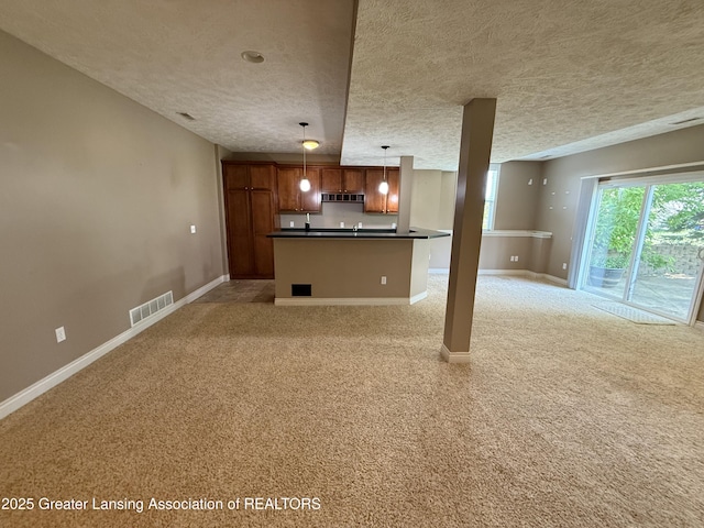 12869 Warm Creek Dr, Dewitt, MI 48820 - photo 41