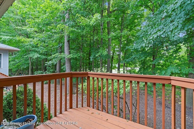 12935 Menominee Dr, Dewitt, MI 48820 - photo 27