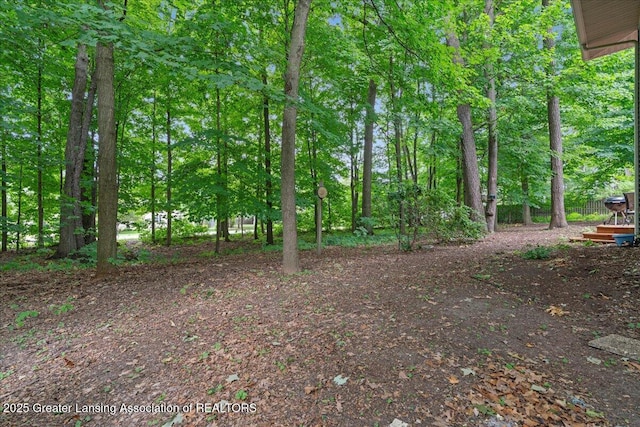 12935 Menominee Dr, Dewitt, MI 48820 - photo 30