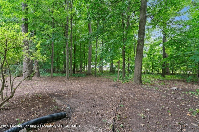 12935 Menominee Dr, Dewitt, MI 48820 - photo 34