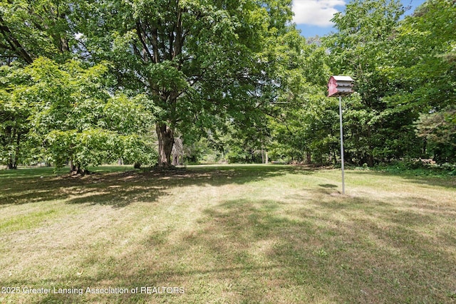 529 High St, Williamston, MI 48895 - photo 39