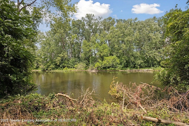 529 High St, Williamston, MI 48895 - photo 40