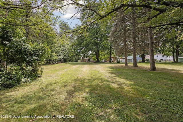 529 High St, Williamston, MI 48895 - photo 41