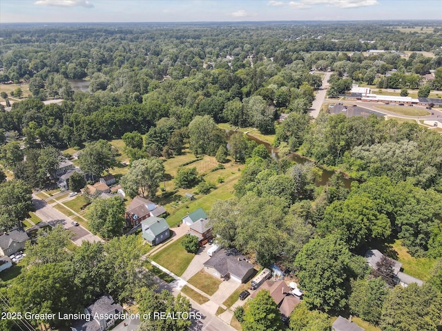 529 High St, Williamston, MI 48895 - photo 44
