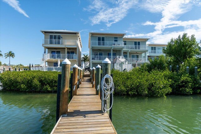 dock area with a water view