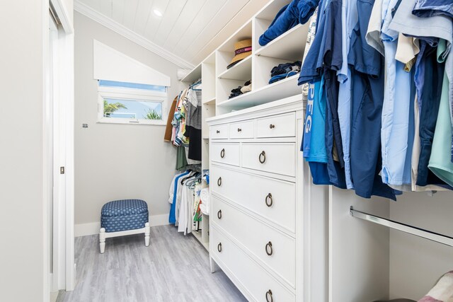 walk in closet with light wood-type flooring