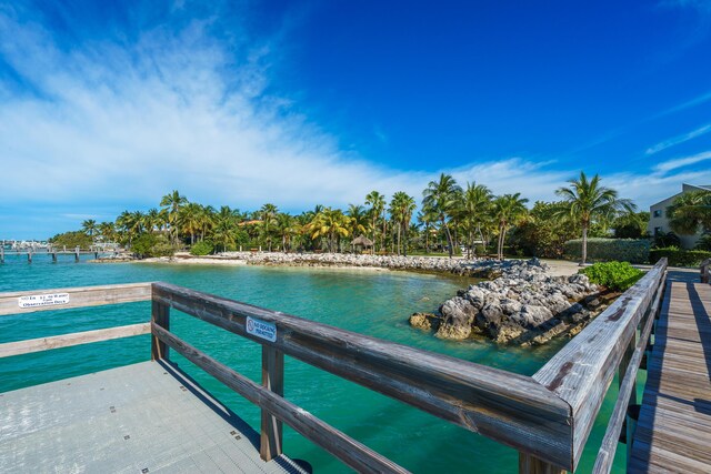 dock area with a water view