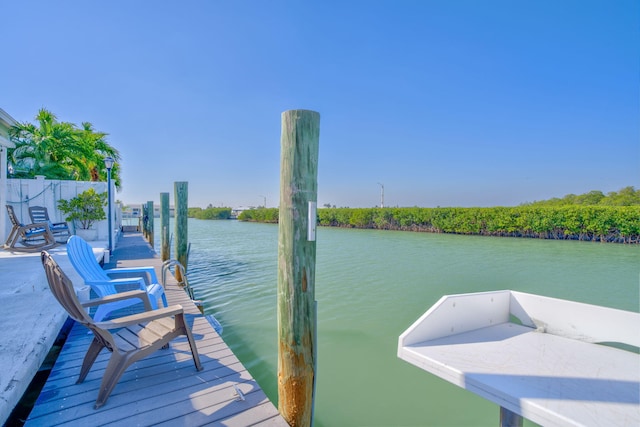 dock area featuring a water view