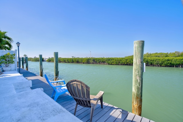 dock area with a water view