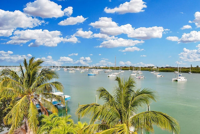 property view of water