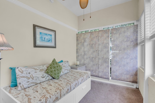 bedroom with carpet floors and multiple windows