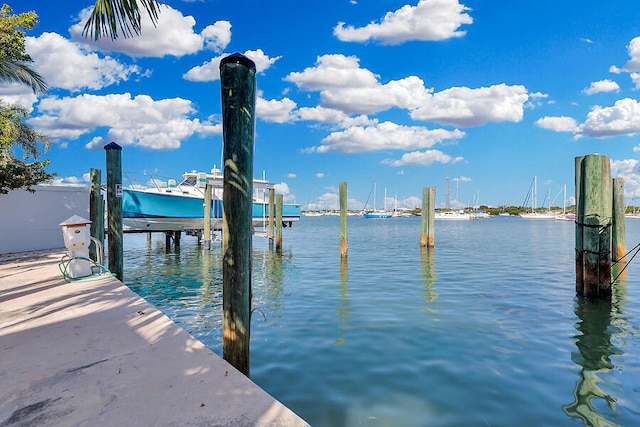 dock area with a water view and boat lift