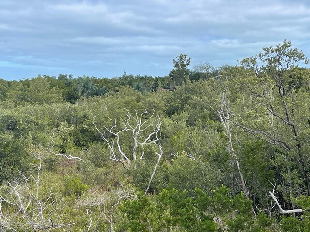 view of local wilderness featuring a view of trees