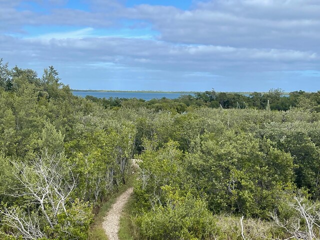 view of landscape with a water view and a forest view