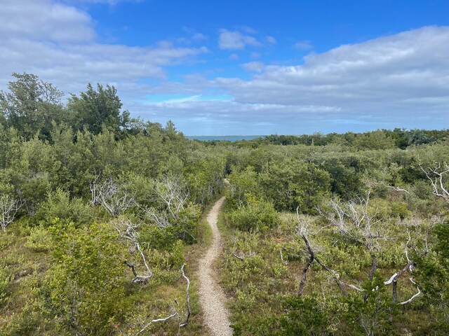 view of landscape featuring a view of trees