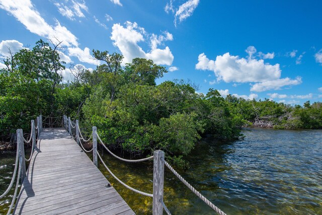 dock area featuring a water view