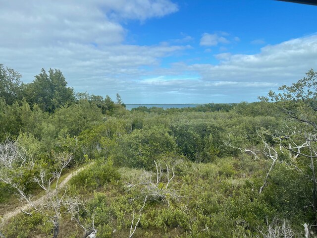 view of nature featuring a water view